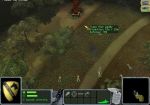  #3 -  (Platoon)