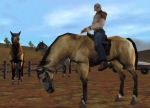  #6 - Rocky Mountain Trophy Hunter 3: Trophies of the West
