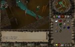  #7 - RuneScape