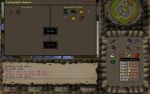  #9 - RuneScape