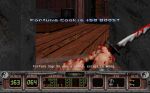  #9 - Shadow Warrior