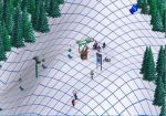  #12 -    (Ski Resort Tycoon 1)