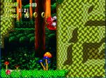  #3 - Sonic & Knuckles Collection