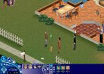  #9 - The Sims: Unleashed