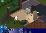  #8 - The Sims: Unleashed
