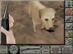  #7 - Bird Hunter: Upland Edition