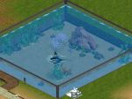  #6 - Zoo Tycoon: Marine Mania