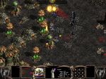  #11 -  : Warlords Battlecry 3 (Warlords Battlecry 3)