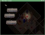  #11 - Ultima Online