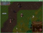  #6 - Ultima Online
