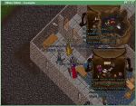  #9 - Ultima Online