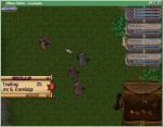 #7 - Ultima Online