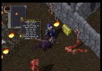  #6 - Ultima Online: Age of Shadows