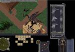  #5 - Ultima Online: Lord Blackthorn's Revenge