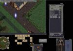  #6 - Ultima Online: Lord Blackthorn's Revenge